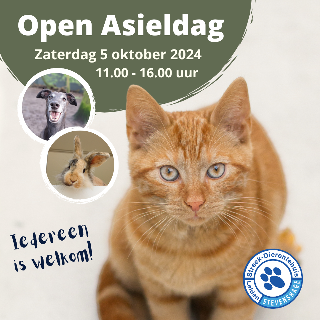 Open Asieldag 2024